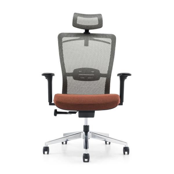 Fabric Seat Adjustable Backrest Ergonomics Mesh Office Chair for B2B Distribution