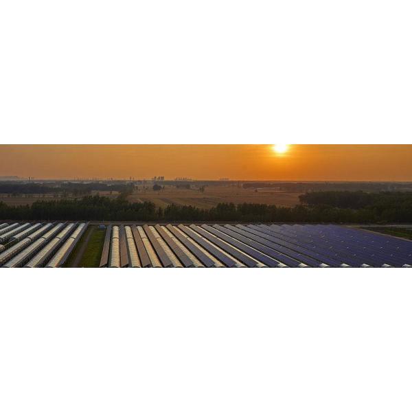 30 дней Возврат Возврат средств Двухслойная PE/Po Пластиковая пленка Фотоэлектрическая солнечная теплица