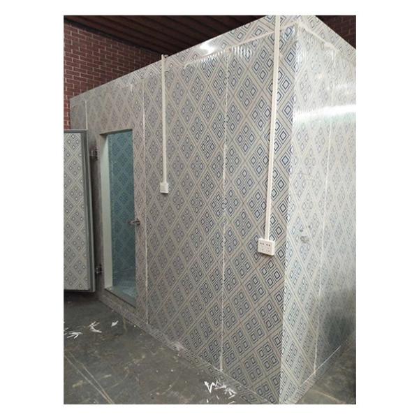 High Quality Locked Large Commercial Storage Cold Storage Cold Room