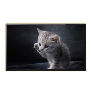 Wall Mounted Digital Signage