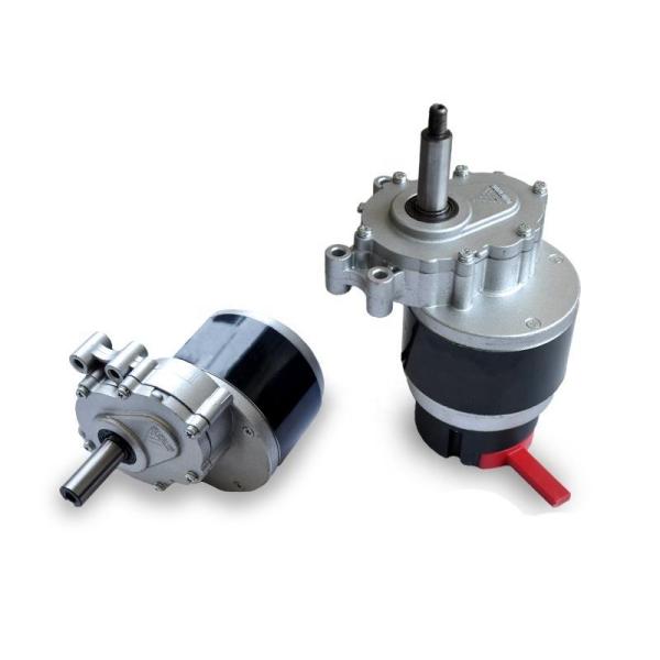 Brush Design 250W MY1016Z Wheelchair Motor with Deceleration and Electromagnetic Brake