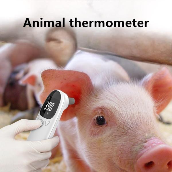 Termómetro de orejas de animales inoxidable IP65 portátil termómetro electrónico para mascotas