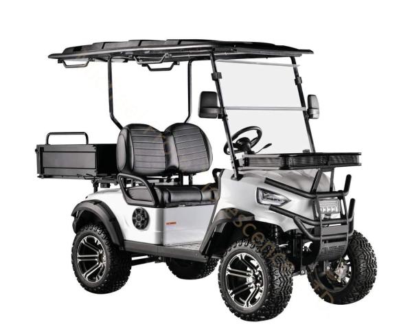 Hunting vehicle Buggy Off Road Electric Golf Cart 4-seater 2+2 seats with cargo bucket battery 4kw 60V 100Ah