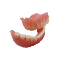 Modèles dentaires de Digital d'OEM de laboratoire dentaire en caoutchouc extérieur lisse de dentier