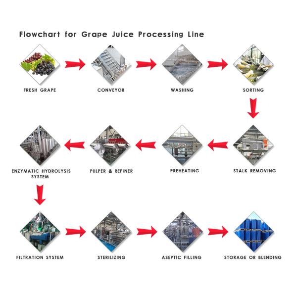 3TPH 10TPH Beverage Fruit Processing Line Aseptic Bag Packaging