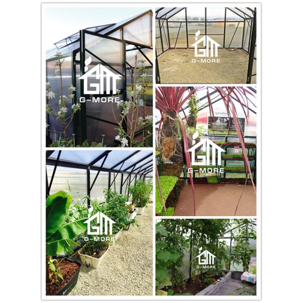 Aluminum Greenhouse-Titan series-406X406X273CM-Green/Black Color-10mm thick PC