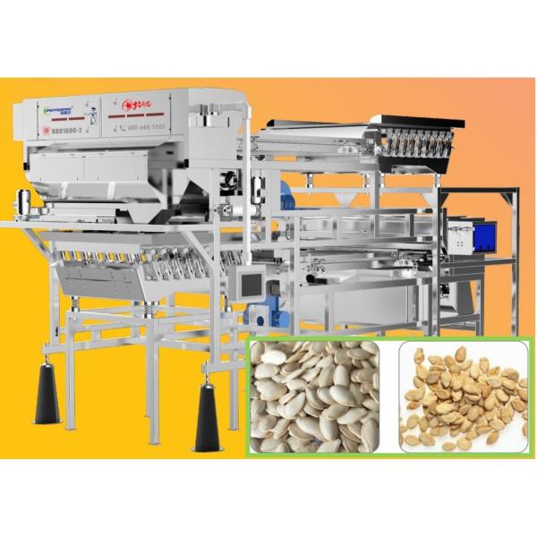 Pumpkin Seed / Nuts Color Sorter Machine 99.9% Accuracy 220V 50Hz with SMC