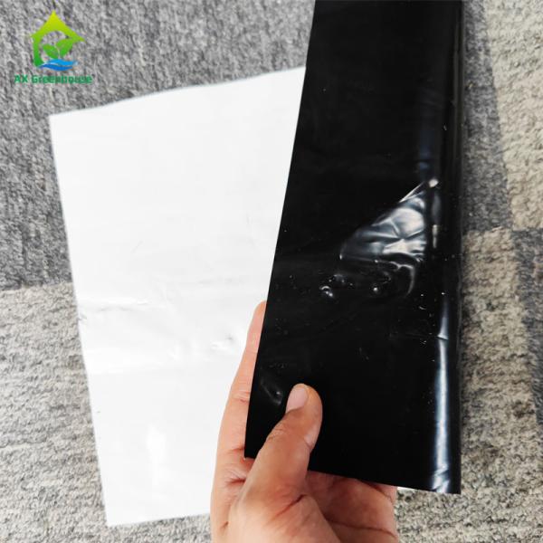 Микро- черно-белый фильм панды 130