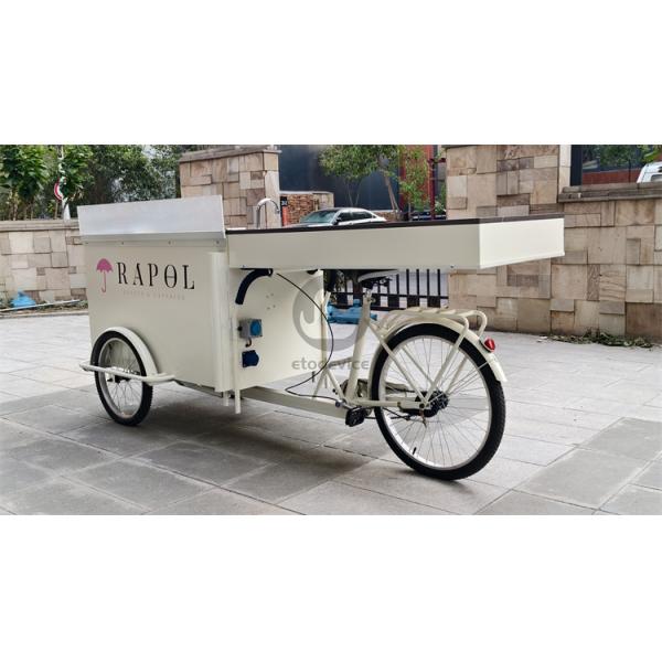 Street Food Delivery Bike with Display Freezer and Customized Snack Truck