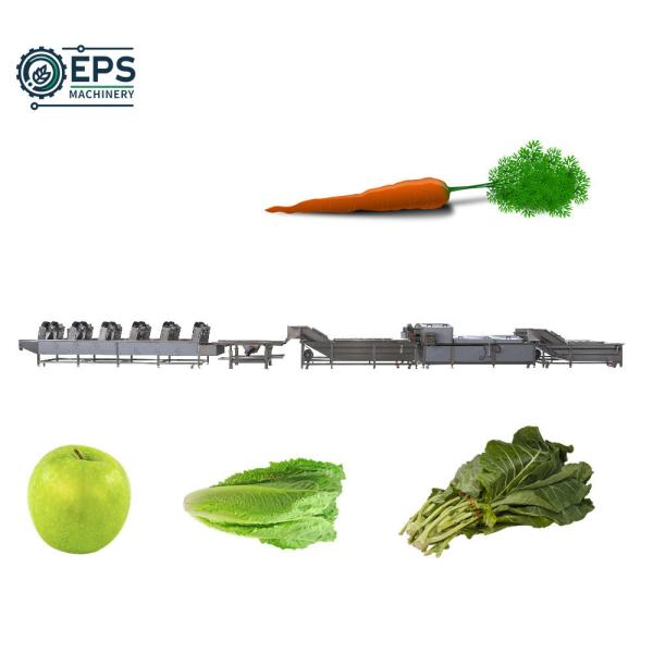 Customize Your Cleaning Process with Automatic Vegetable and Fruit Cleaning Machine