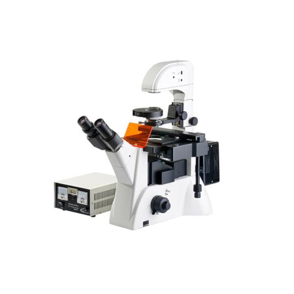 10X20X40X Fluorescent Light Microscopy , Scientific Inverted Fluorescence Microscope