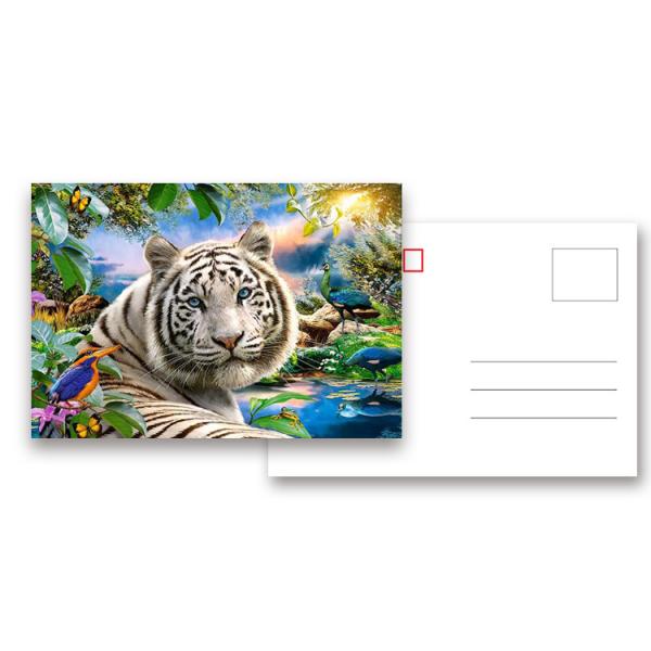 Tear - Proof 3D Animal Postcard Custom Tiger Design Printing Size 11x16cm