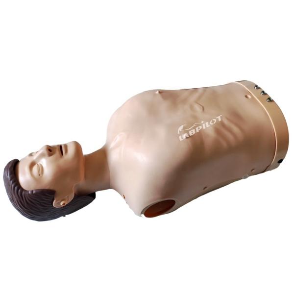 Electronic Bust CPR Training Manikin Patients Care Demonstration with Advanced PVC