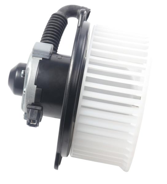 El número de unidades de motor de las unidades de motor de las unidades de motor de las unidades de motor de las unidades de motor de las unidades de motor de las unidades de motor de las unidades de motor de las unidades de motor de las unidades de motor de las unidades de motor de las unidades de motor de las unidades de motor de las unidades de motor de las unidades de motor de las unidades de motor de las unidades de motor