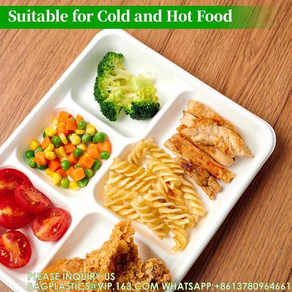 5 Compartment Plates, 125 Pack Disposable Paper Plates, Biodegradable Sugarcane Plates, Eco-Friendly School