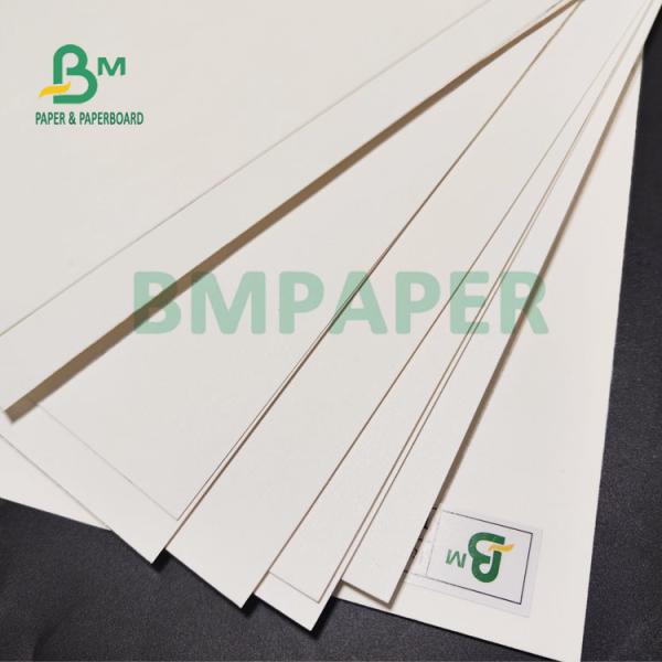 230gsm + 15g PE Cup Stock Paper Board Roll Waterproof Food Safe 70cm 90cm