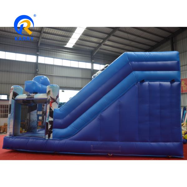Outdoor Playground Commercial Grade PVC How to Train Your Dragon Inflatable Bouncer with 2 Slide Games