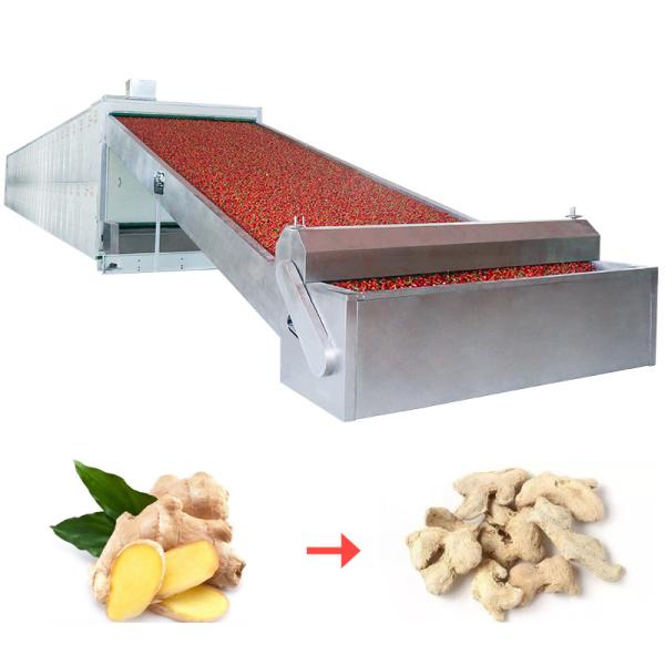 Power Regulation Continuous Belt Dryers Equipment MultiLayer Balanced Operation