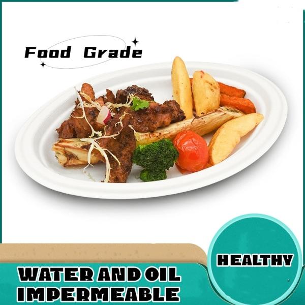 Eco-Friendly Biodegradable Paper Pulp Food Plate Paper Food Containers Customization