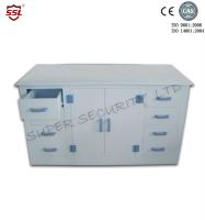 Laboratory Corrosive Storage Cabinet