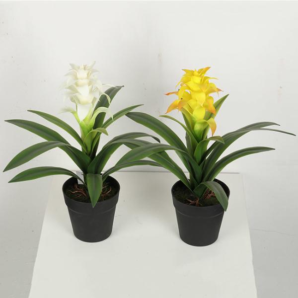 Multicolour Guzmania Flexible Glue Artificial Bonsai Tree 44 CM 56 CM