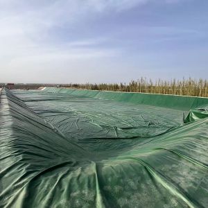 Longue durée de vie Hdpe géomembrane lisse multi scénario Pvc géomembrane liner