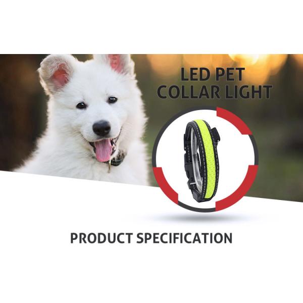 Pet Nylon Luminous Fluorescent LED Dog Collar Leashed in Dark Size S / M / L
