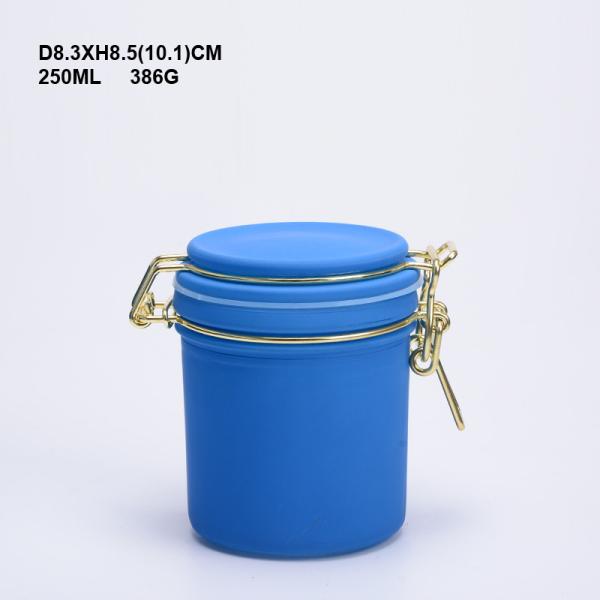 Airtight Seal Empty Glass Jars 250ML Volume Storage Jars with Clip Lid