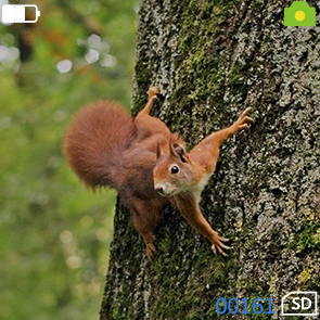 голова 1x24 HD установила изумленные взгляды ночного видения для охотиться располагаясь лагерем тип шлема