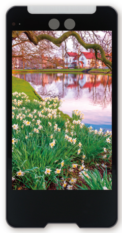 8.0 Inch LCD HD Display 800x1280 Resolution 500cd/M2 For Office Automatic Device