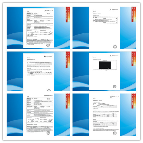 Weather-proof House Leakage Filler Spray Essential For Construction Industry Waterproof Leak Sealer