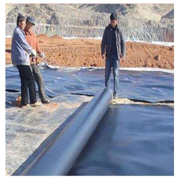 Modern Design Durable Geomembrane Pond Lining 1mm 2mm Waterproof for Industrial Ponds