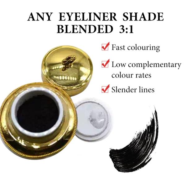 Макияж брови постоянный пигментирует академию чернил татуировки смеси GMT косметическую Perma