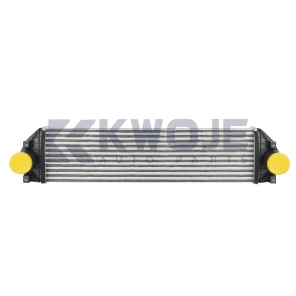 Automotive Cooling Systerm Intercooler Tank Auto Evaporator Cooler F20-1119120 For Chery Auto Spare Parts 2021 Jetour X90Plus