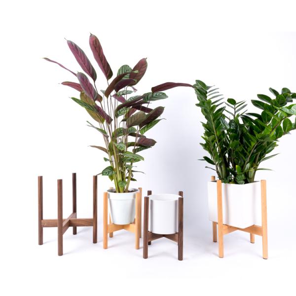 Flower/Green Plant Used Modern Design Bamboo Solid Acacia Wood Plant Pot Stand Holder