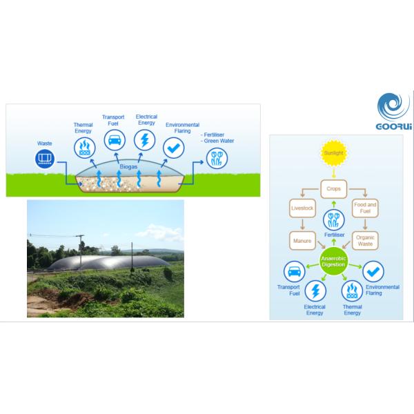 5.5 Kw Goorui Anti Explosion Single Stage Vacuum Pump Blower In Biogas Conveying