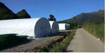 Single‑Span Round‑Arch Polyethylene Agricultural Tunnel Greenhouse, Specially Designed for Solar Light Utilization & Heat Preservation, Suitable for Protected Cultivation.