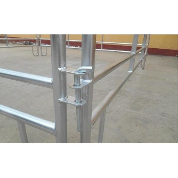 sheep panels for sale