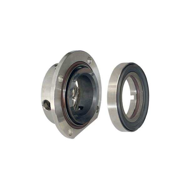 Bergman OEM TLS pompe à rotor pompes sanitaires pompes alimentaires joints joints mécaniques