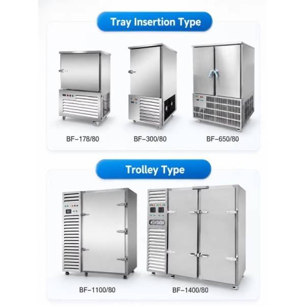 300L Vertical Blast Freezer 10 Trays Quick Freezer for Seafood & Food Industry