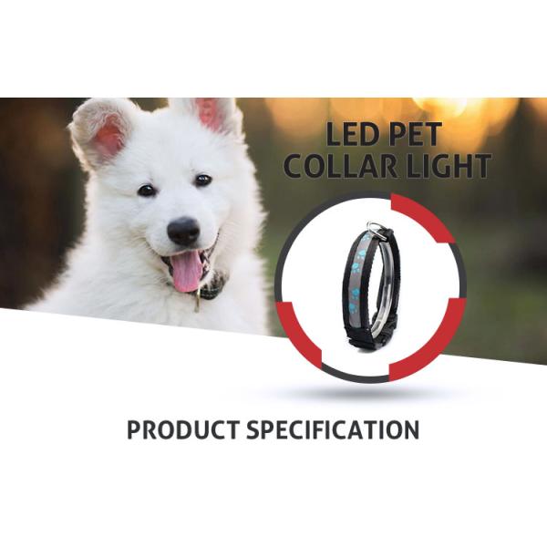 LED Flashing Light Dog Collar and Leash Safety Pet Dog Puppy Collar Lead in Night