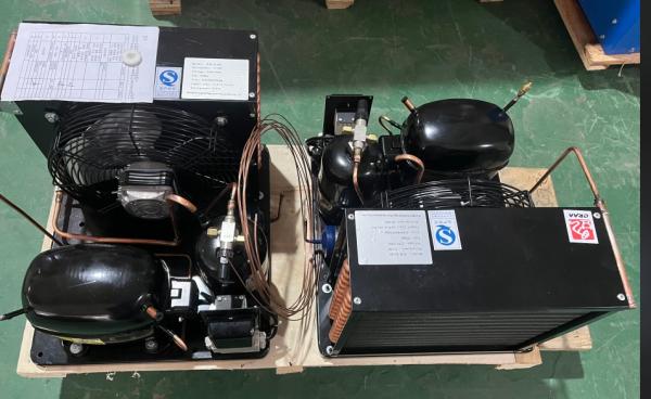 Condensateur refroidi à l'air de 1/4 HP à 1 HP pour réfrigérateur congélateur 220V