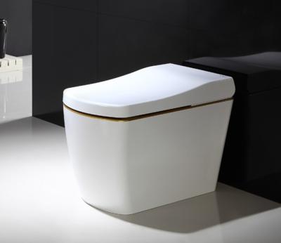 110V / 220V Electric Smart Toilet Smart Bidet Toilet Automatic Deodorization intelligent toilet