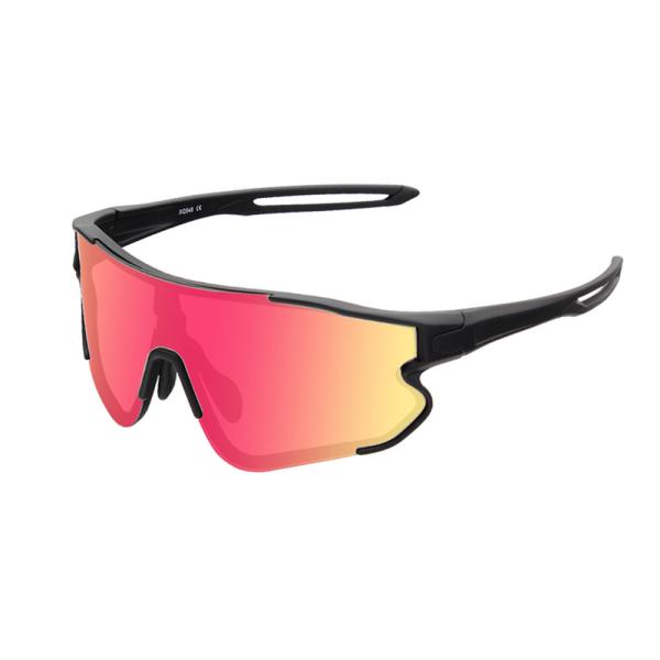 Стекла велосипеда людей сверхразмерные на открытом воздухе поляризовыванные заменимые