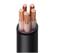 Low Voltage Fire Resistant Cable 0.6/1kV with Copper Conductor and XLPE Insulation for Fire Safety Applications