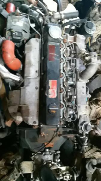 Desempenho da fronteira de TD42/TD42T o auto Nissan parte com qualidade segura