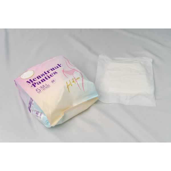 Odor Resistant Overnight Panties Non Woven Nighttime Period Panties Comfortable