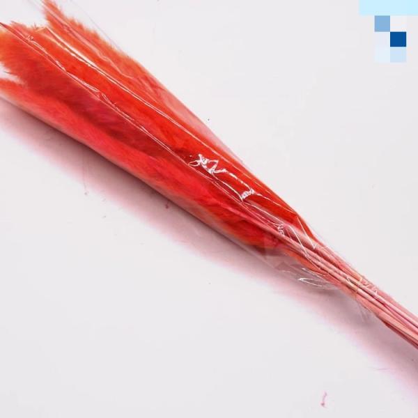 Wholesale Price Preserved Flower Dried Rabbit Tail Grass   Decorative Flowers