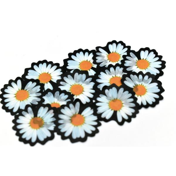 стикеры ленты цветка высокие липкие 30mm Washi маргаритки