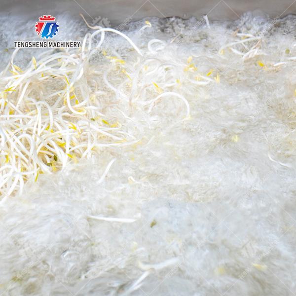 Single cylinder fruit and vegetable washing machine with slag separator Leaves Vegetables Onions Leafy vegetables Cabbage varieties Herbs Fruiting vegetables Wash Washer Washing Cleaning processing